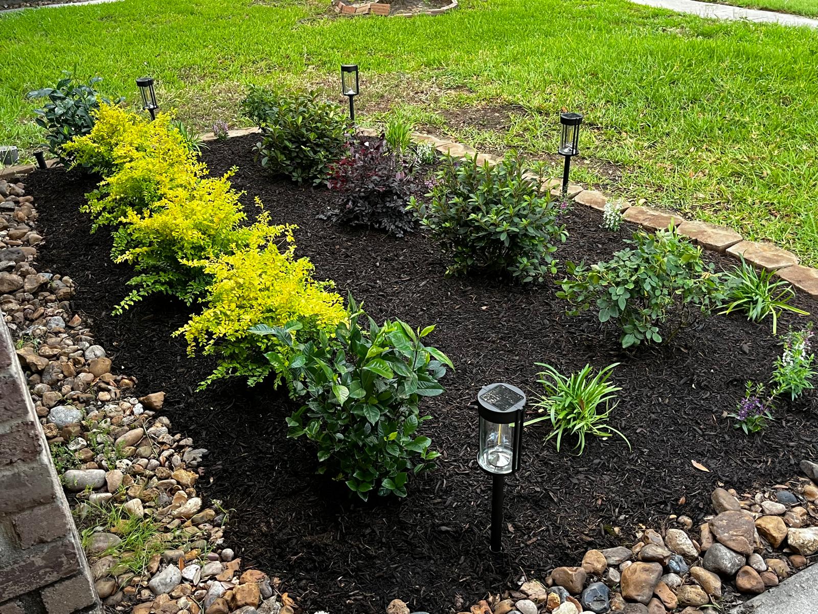 Landscape Installation: Finished beds with pathway lighting